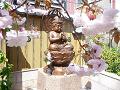 普賢象桜と仏像