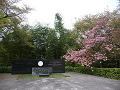 八重桜とエジソン記念碑
