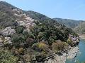 展望台から眺める嵐山の桜2