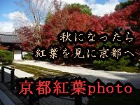 京都紅葉photo