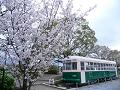 佐野桜と鉄道